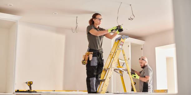 Best Electric Panel Repair  in Woodville, WI